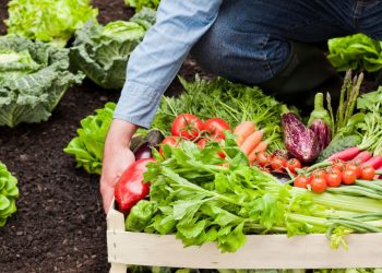 Alimenti Biologici: un investimento a lungo termine per la salute