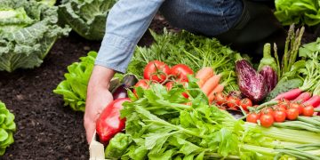 Alimenti Biologici: un investimento a lungo termine per la salute