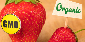 I rischi associati all’uso di OGM nell’alimentazione e nell’agricoltura convenzionale