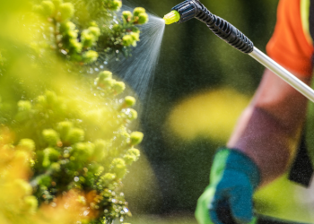 Pesticidi e fertilizzanti chimici: i rischi per la salute