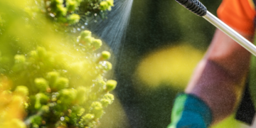 Pesticidi e fertilizzanti chimici: i rischi per la salute