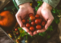 Filiera corta e recupero delle tradizioni culinarie locali
