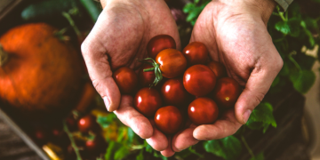 Filiera corta e recupero delle tradizioni culinarie locali