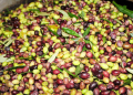 Olive al frantoio per il controllo di peso, resa e molitura