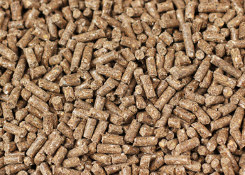 Pellet bagnato alla consegna con sacchi rotti e materiale fuoriuscito