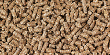 Pellet bagnato alla consegna con sacchi rotti e materiale fuoriuscito